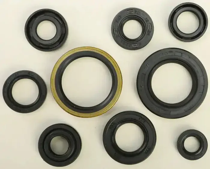 822131 Oil Seal Set