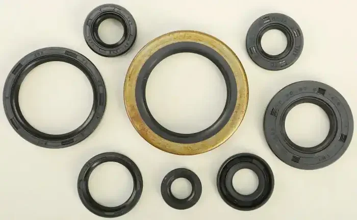 822133 Oil Seal Set
