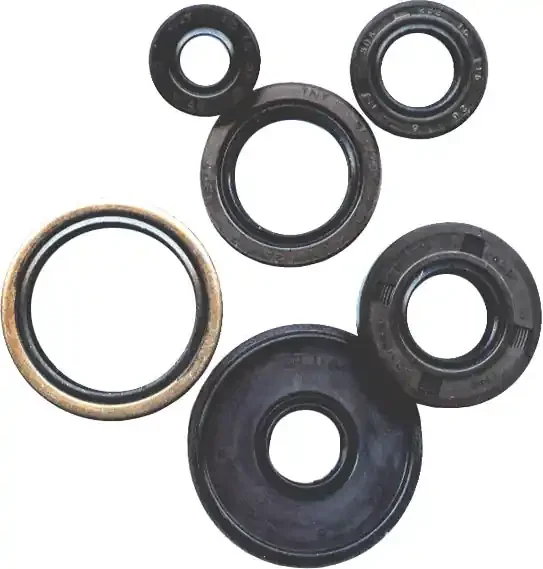 822169 Oil Seal Set