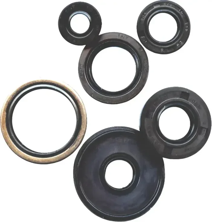 822280 Oil Seal Set