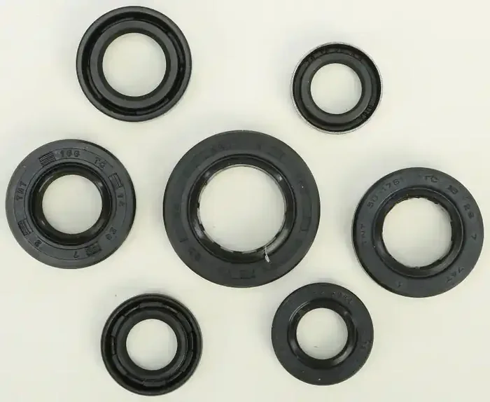 822289 Oil Seal Set