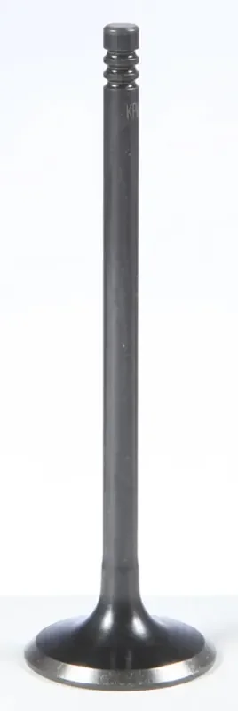 91-91166 Black Diamond Exhaust Valve