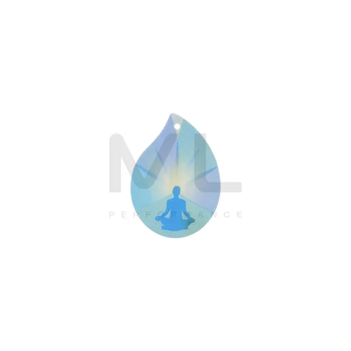 AIR SPA Cedar, Eucalyptus, Pine, Zen 190453 Car air freshener Blister Pack