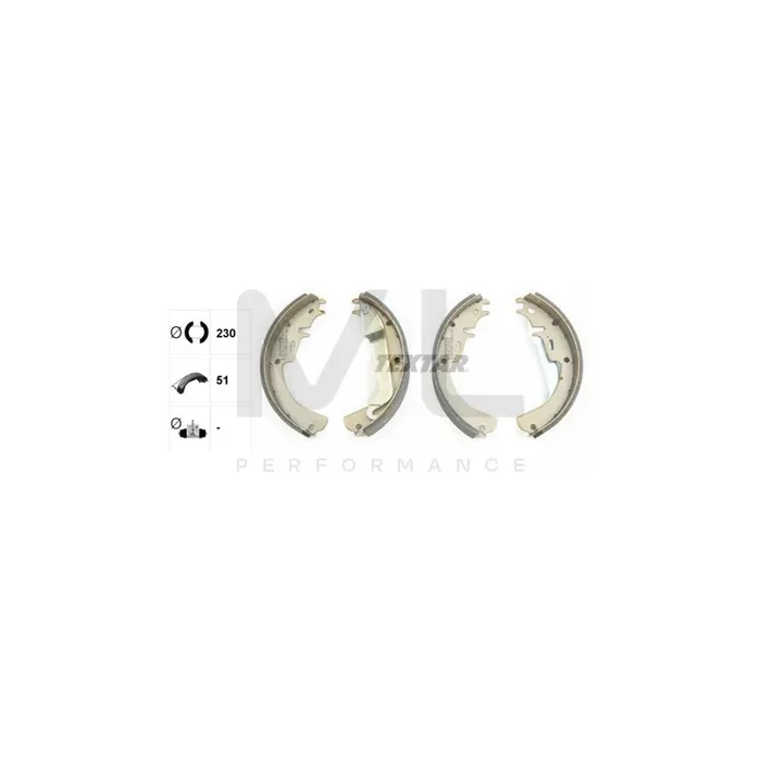 TEXTAR 91012100 Brake Shoe Set with handbrake lever